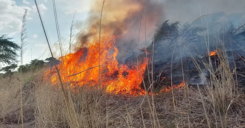 Isiolo loses 190,000 acres of grassland amid an unrelenting wildfire