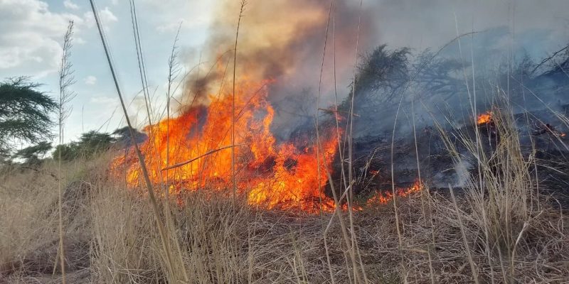 Isiolo loses 190,000 acres of grassland amid an unrelenting wildfire