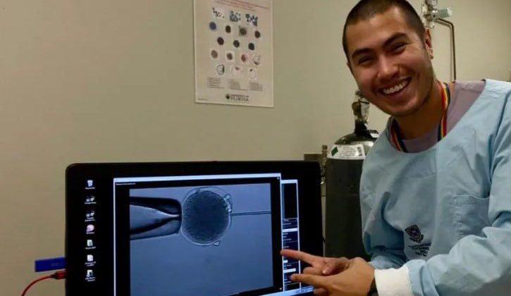 Scientists produce first kangaroo embryo using IVF