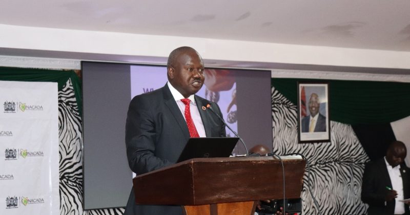 NACADA warns of rising cases of synthetic drug abuse among the youth in Kenya