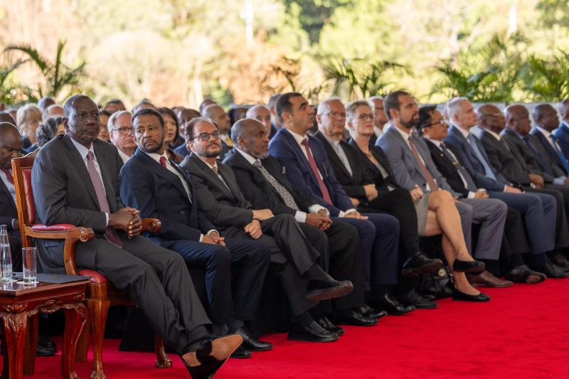 Ruto calls for predictable financing of peace initiatives