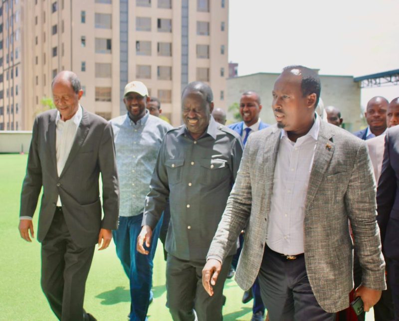 Raila pledges to support private sector should he succeed in AUC bid