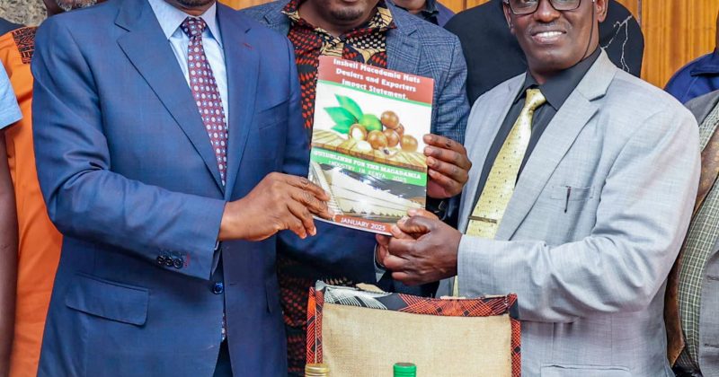 Kenya Maintains Ban on In-Shell Macadamia Exports as Harvesting Begins