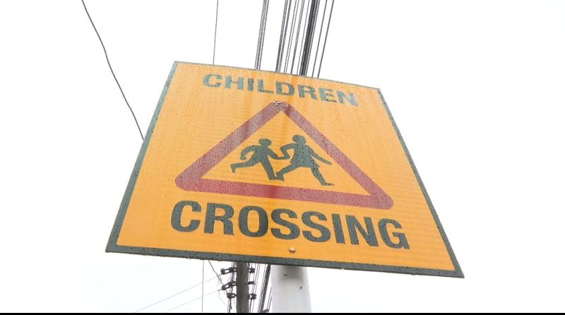 AA Kenya moves to make school zones safer in joint bid with FIA