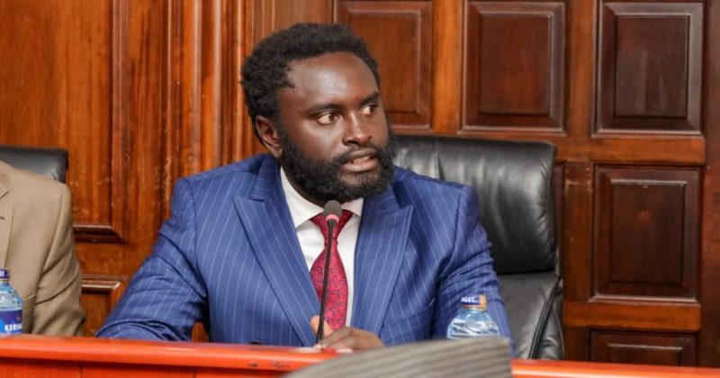 Mt Kenya made you President, we hold the key to your second term: Methu to Ruto