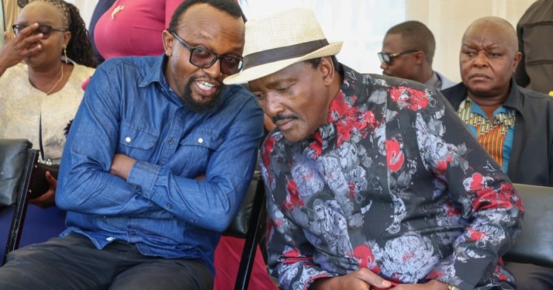 Kalonzo Raises Red Flag Over IEBC Reconstitution