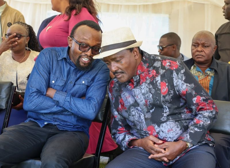 Kalonzo Raises Red Flag Over IEBC Reconstitution