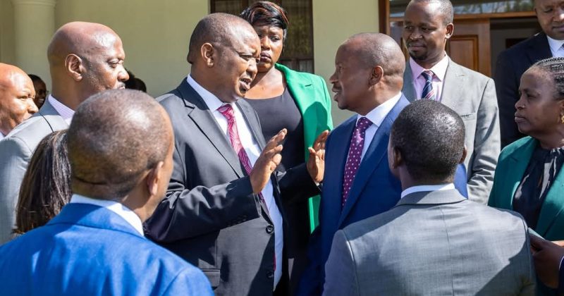 Coffee farmers projected to earn Sh110 per Kg this year: Kindiki