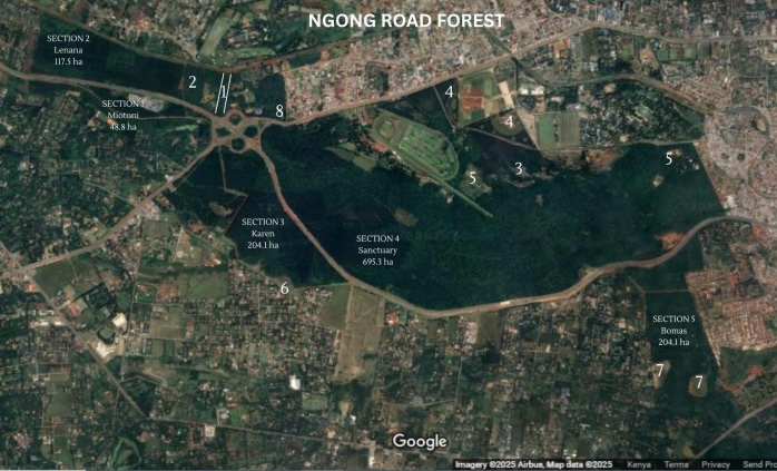 Greenpeace Africa Slams Kenya Forest Service for Downplaying Forest Threats