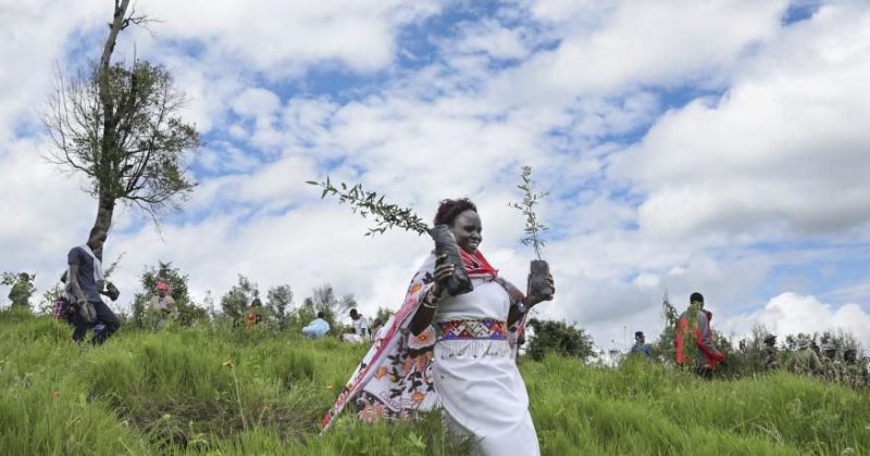 Land Restoration efforts boosted with launch of ‘Restore Local’ initiative