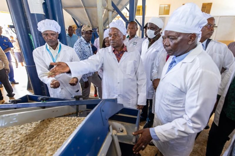 Kindiki says Kenya Kwanza’s agriculture reforms bearing fruit
