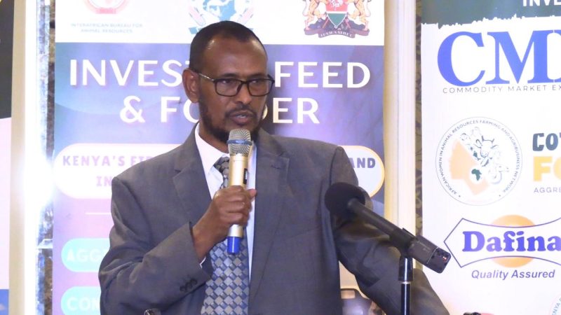 Kenya Targets $4.5 Billion Fodder Market in Landmark Investment Push