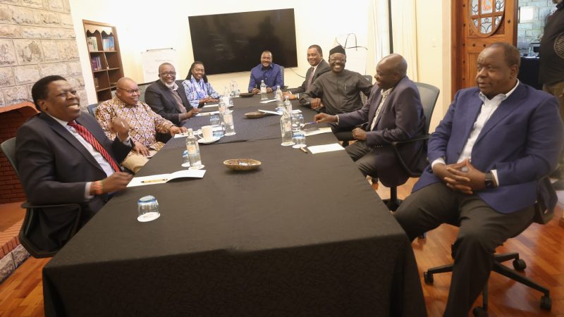 Opposition Leaders Decry Extrajudicial Killings, Demand Transparent IEBC Process Ahead of 2027