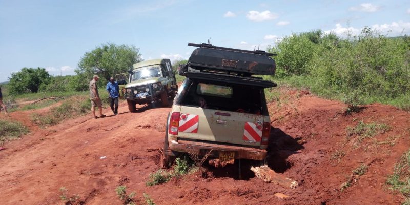 KWS extracts stranded family from Tsavo East ending 2-day rescue operation