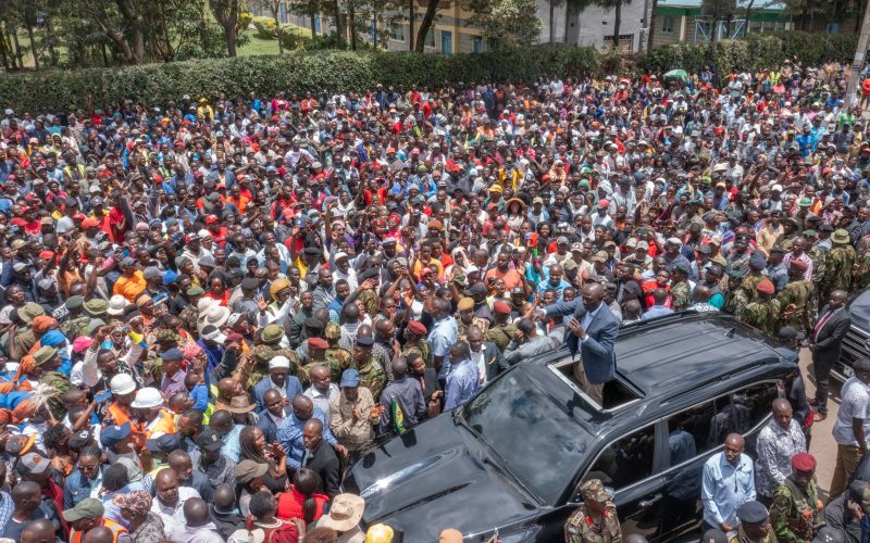 Ruto dares critics to develop their own vision, policies