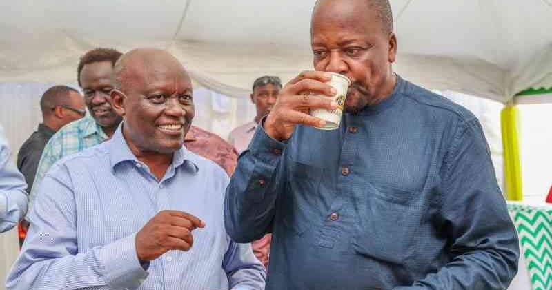 A Tea Industry Reborn: Inside Kenya’s Bold Gamble on Reform and Transparency