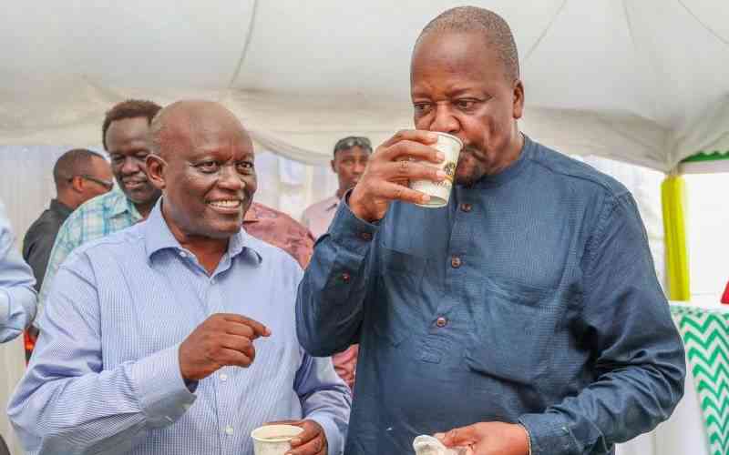 A Tea Industry Reborn: Inside Kenya’s Bold Gamble on Reform and Transparency