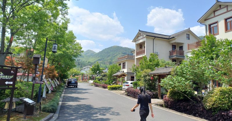 Inside China’s Tea-Rooted Countryside: How Jingshan Village is Redefining Rural Tourism