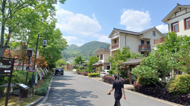 Inside China’s Tea-Rooted Countryside: How Jingshan Village is Redefining Rural Tourism