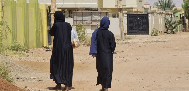 Amnesty’s New Report Details Rape and Sexual Slavery by RSF in Sudan