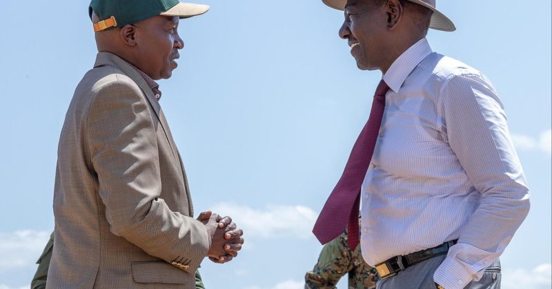 I am very proud to have a Deputy President who understands govt – Ruto