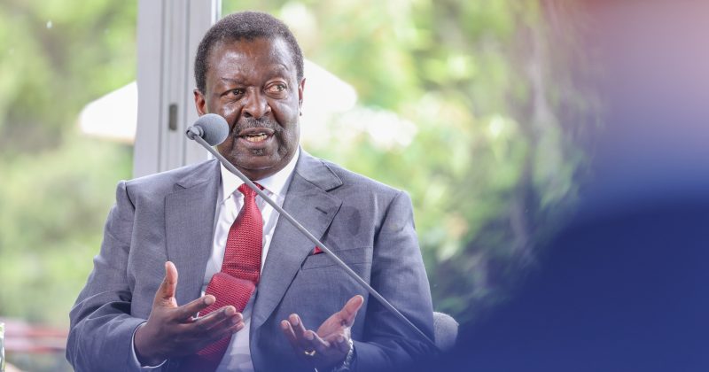 Mudavadi tells off global community for undermining African  peace strategies