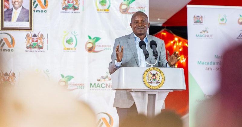 Kenya targets Sh10bn annual earnings from Macadamia as govt commits to sector growth