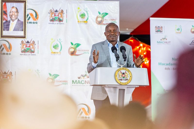 Kenya targets Sh10bn annual earnings from Macadamia as govt commits to sector growth