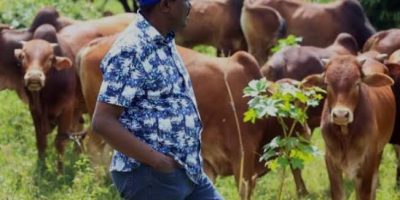 Will Kalonzo Be Lured to Kenya Kwanza? Kindiki’s Ukambani Visit Signify Political Overture