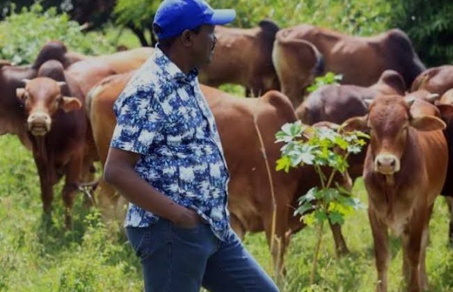 Will Kalonzo Be Lured to Kenya Kwanza? Kindiki’s Ukambani Visit Signify Political Overture