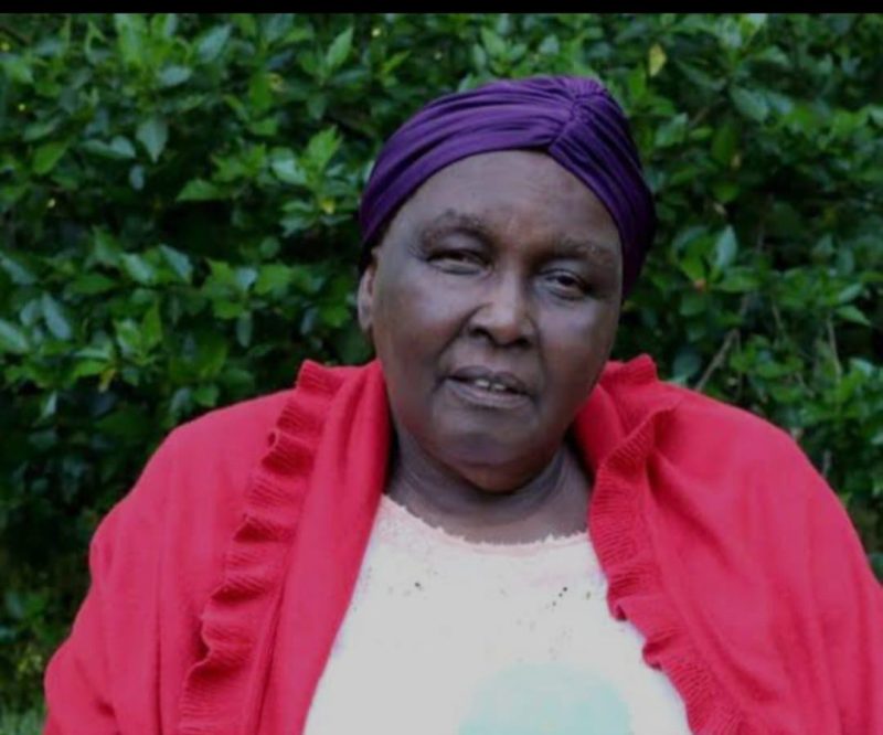 Suspected land fraudster arraigned at Milimani Law Courts