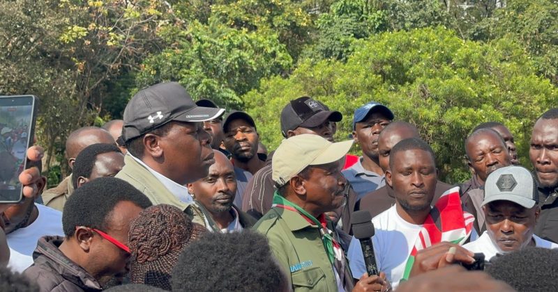 Kalonzo, Wamalwa lay wreaths outside Parliament in memory of those killed in Gen Z protests