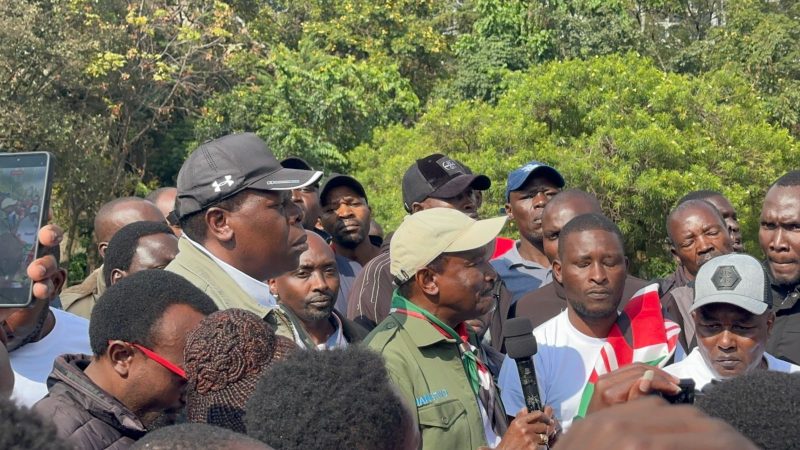 Kalonzo, Wamalwa lay wreaths outside Parliament in memory of those killed in Gen Z protests