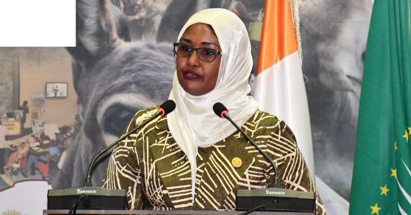 AU-IBAR Leads Drive to Safeguard Donkeys With New Continental Strategy