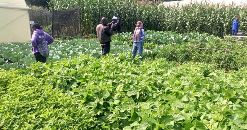 Over 100,000 people expected at the Nakuru ASK show