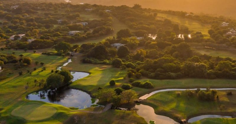 Vipingo Ridge Shareholders Vote to Remove Alastair Cavenagh from Board of Directors