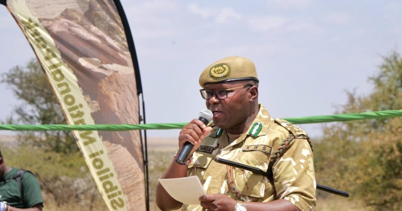 KWS proposes first park fees review in 18 years to bridge Sh12bn shortfall