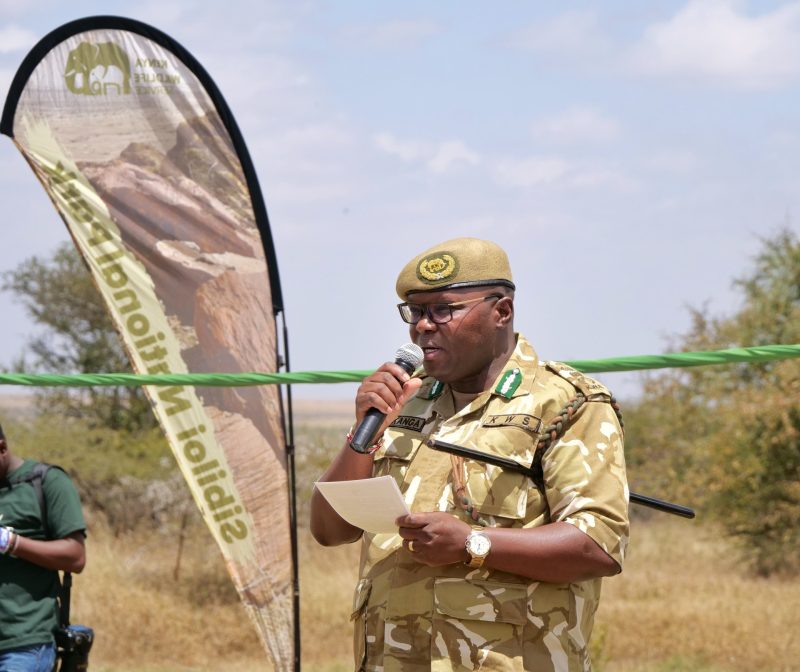 KWS proposes first park fees review in 18 years to bridge Sh12bn shortfall
