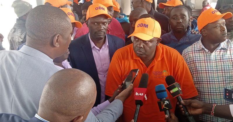 ‘Prepare for 2027 polls, not chaos’ – Aladwa tells Ruto critics