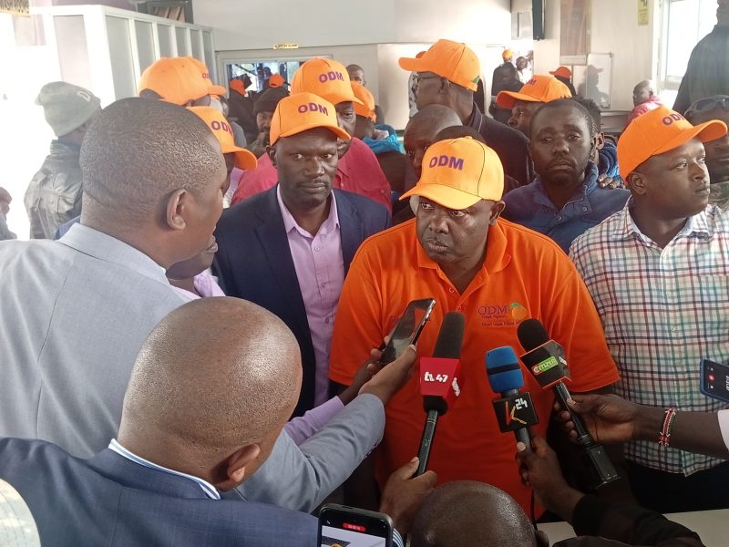 ‘Prepare for 2027 polls, not chaos’ – Aladwa tells Ruto critics