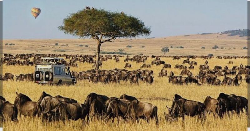 Maasai Mara included in the World Book of Records, UK