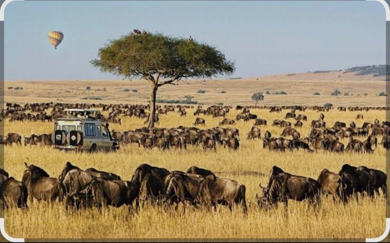 Maasai Mara included in the World Book of Records, UK