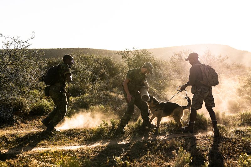 Ranger teams across Africa train ahead of Kenya endurance challenge