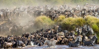 MPs opposes proposed merger of Tourism Research Institute and Kenya Tourism Board