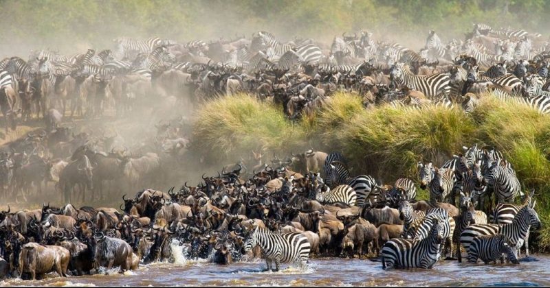 MPs opposes proposed merger of Tourism Research Institute and Kenya Tourism Board