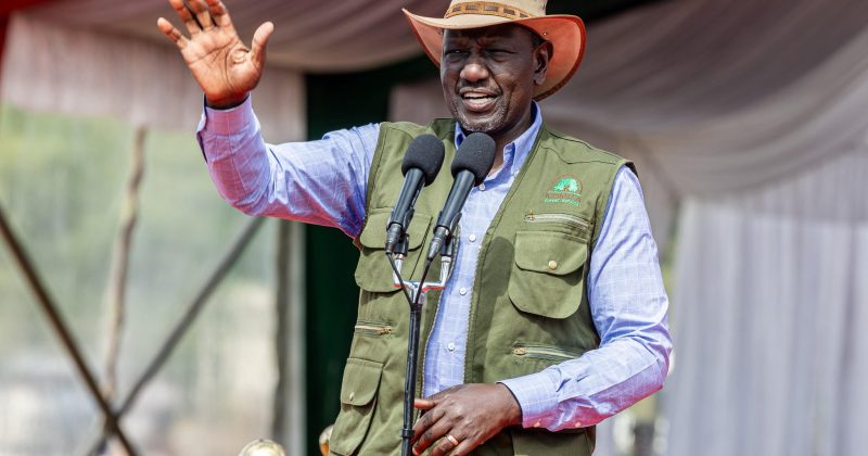 Ruto touts ‘historic’ strides in education, sector on solid ground