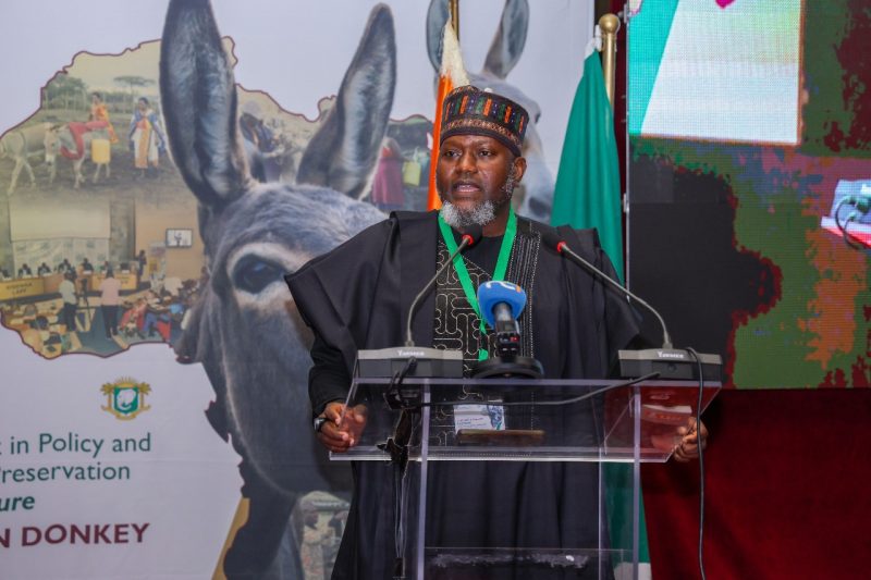 Africa Unites to Save Donkeys as PADCO-2 Validates Historic Strategy