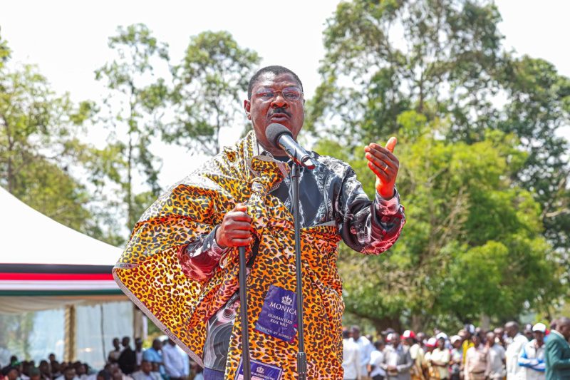 It’s time to fix the law, end the chaos: Wetangula
