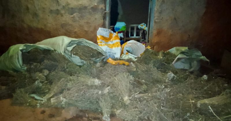 NACADA seizes Sh3mn cannabis haul in Kitale