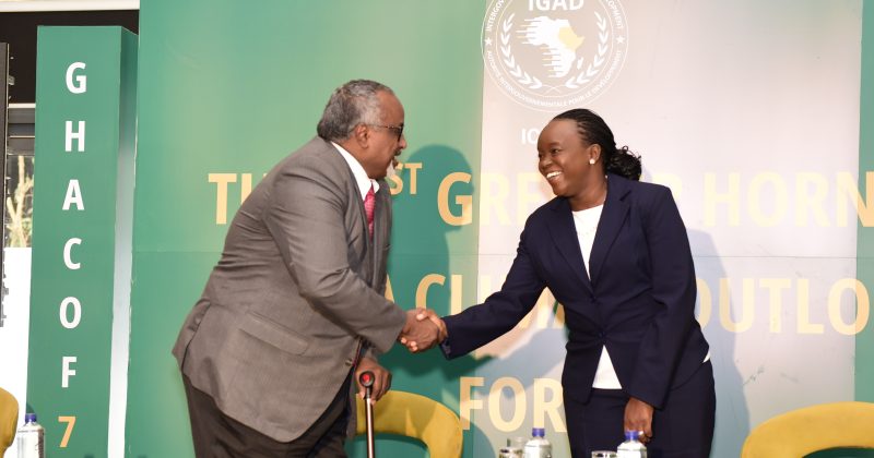 Climate threats jeopardize growth, investments in greater Horn of Africa: IGAD